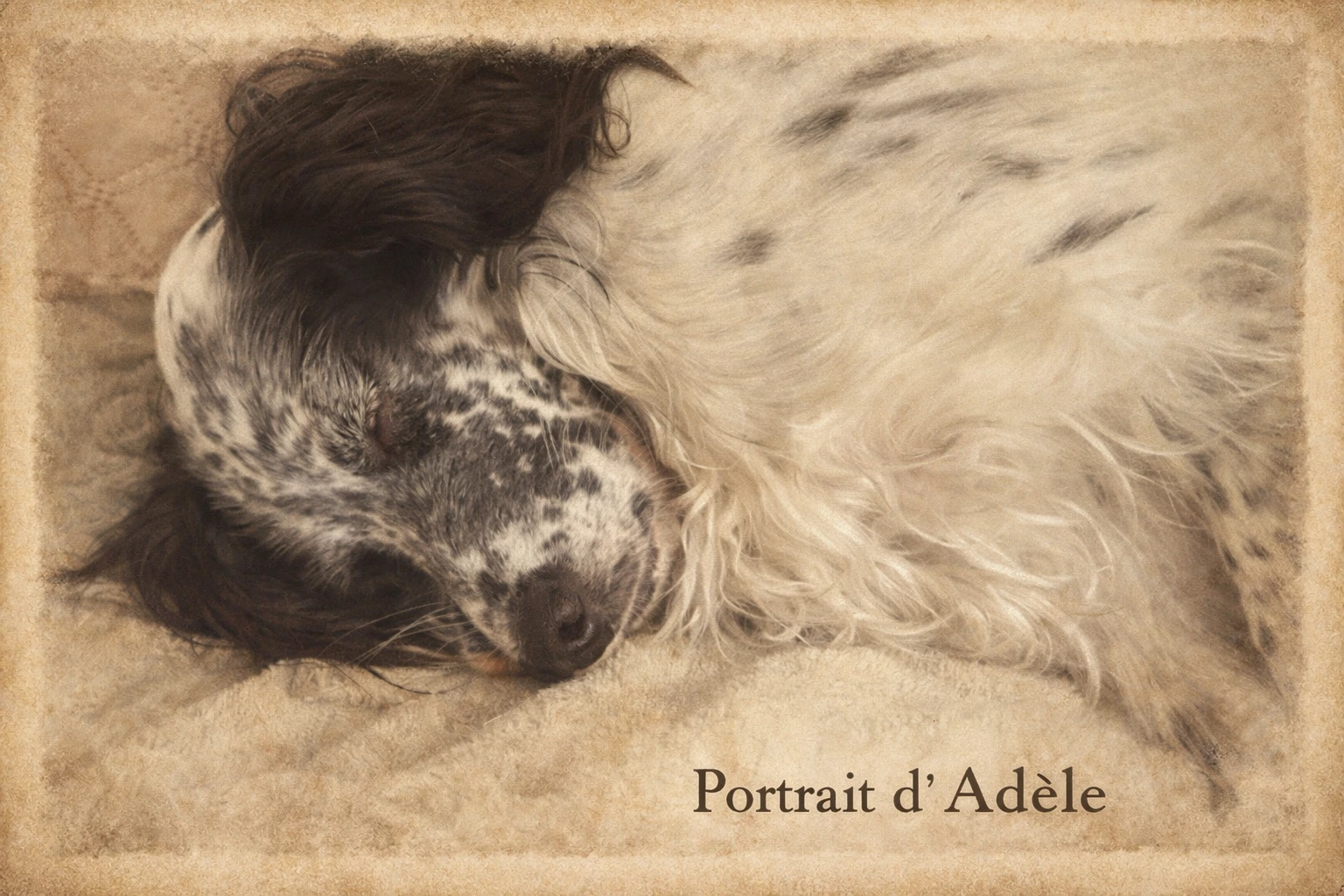 Portrait d’Adèle